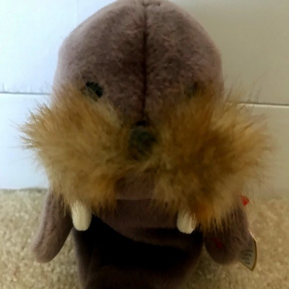 Ty Other - NWT Rare TY Retired JOLLY the WALRUS Beanie Baby